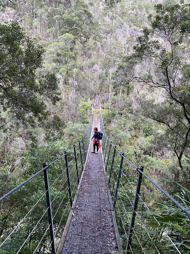 Swing bridge on The Pinnacles, Coromandel Track