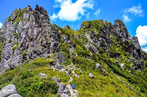 The Pinnacles Summit Track, Coromandel