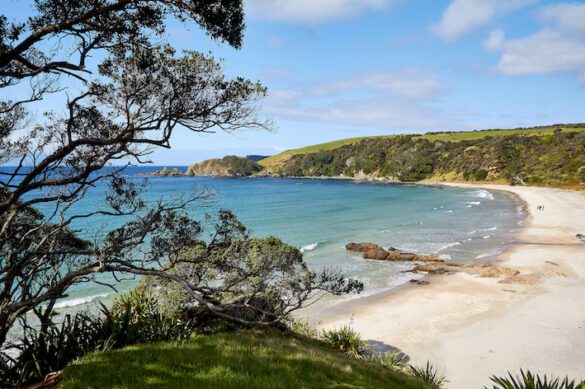 Tawharanui Regional park